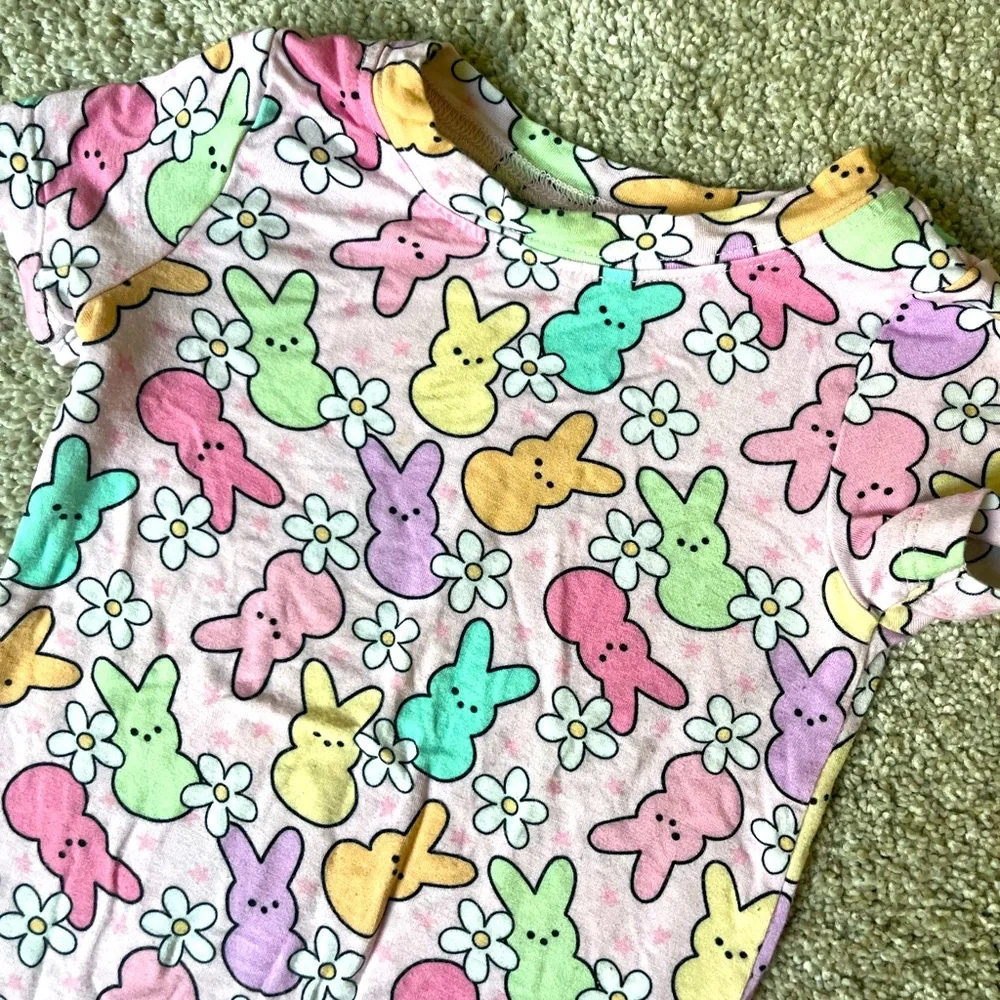 Dream Big Little Co Peeps Short Sleeve Pajama Set | EUC